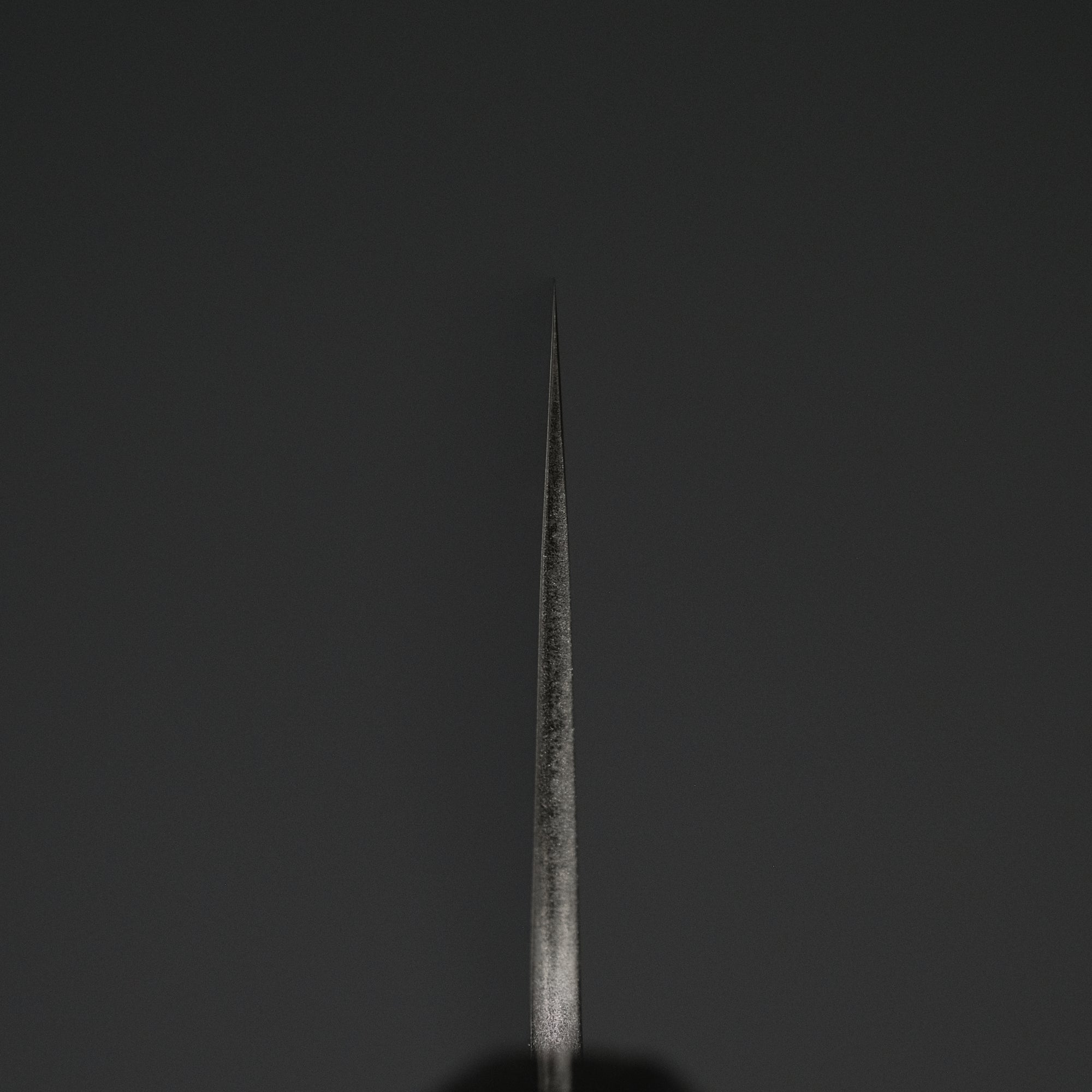 Toshihiro Wakui White 