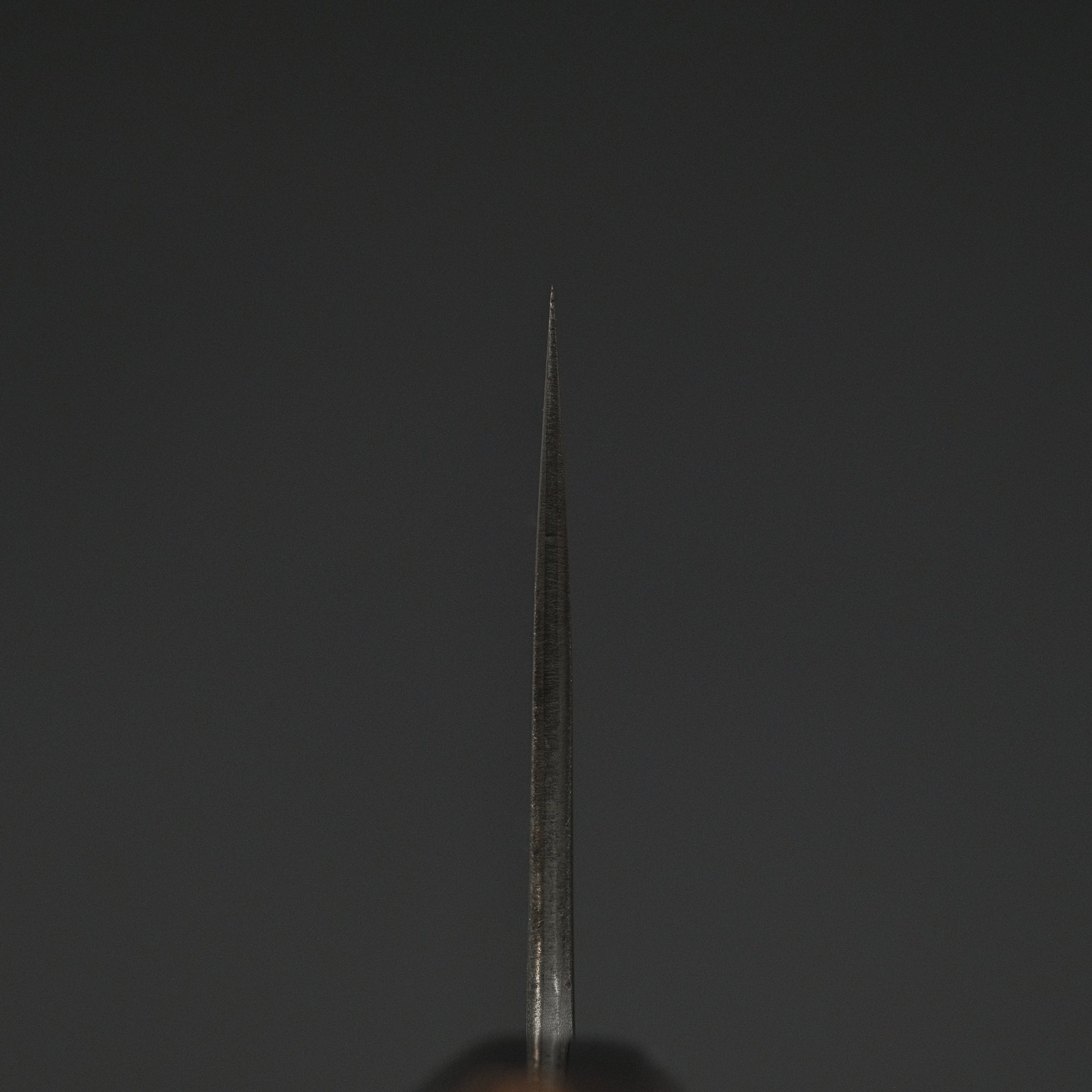 Toshihiro Wakui White 