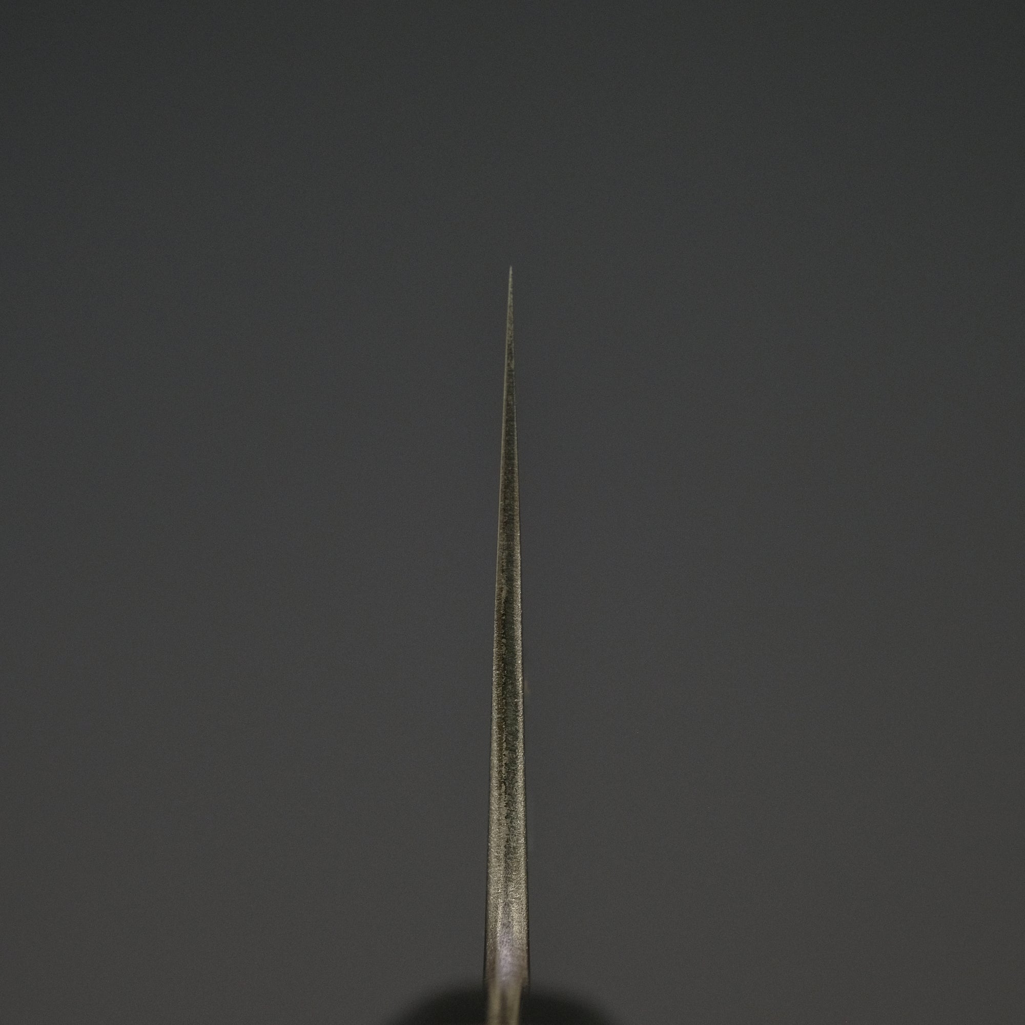 Toshihiro Wakui White 