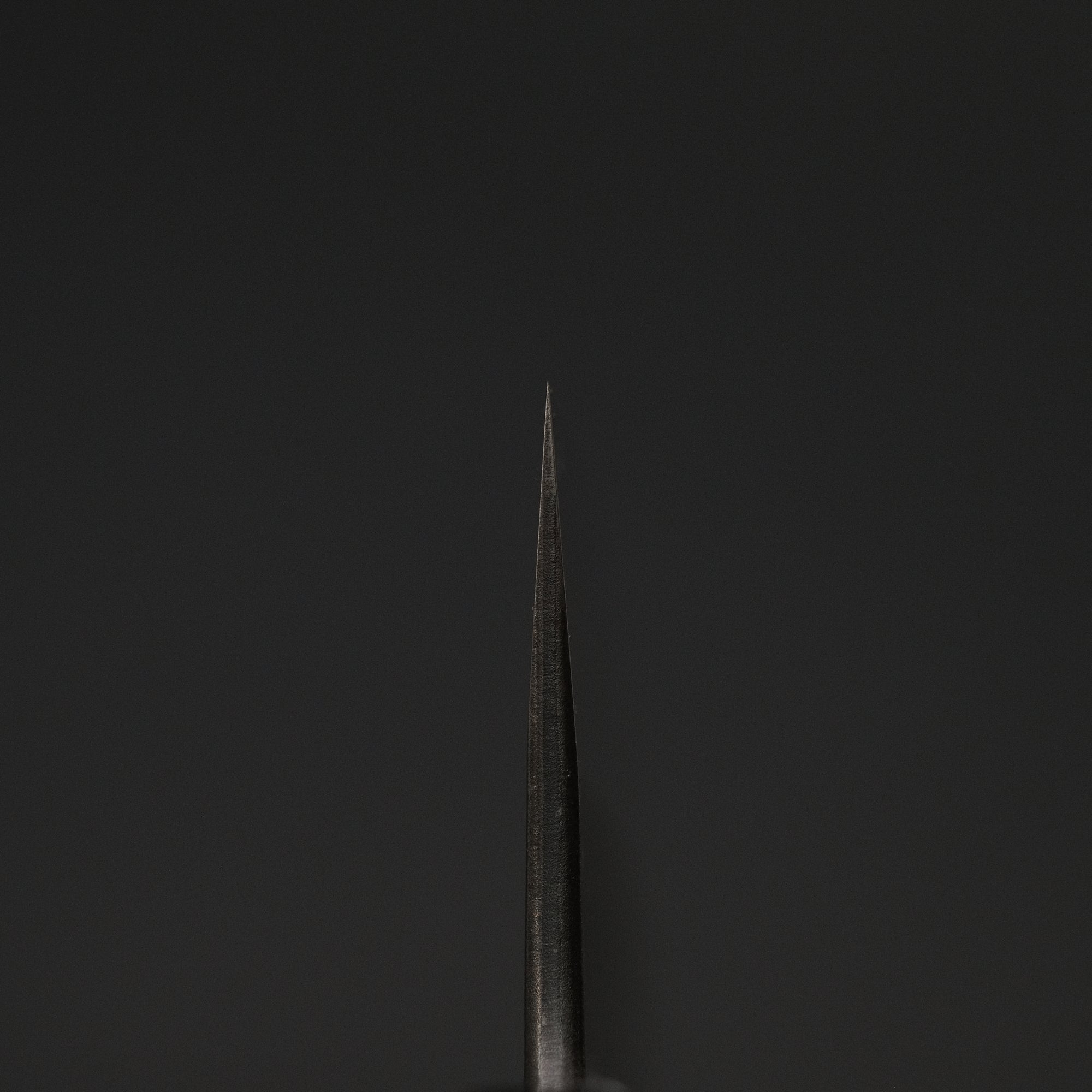 Toshihiro Wakui White 