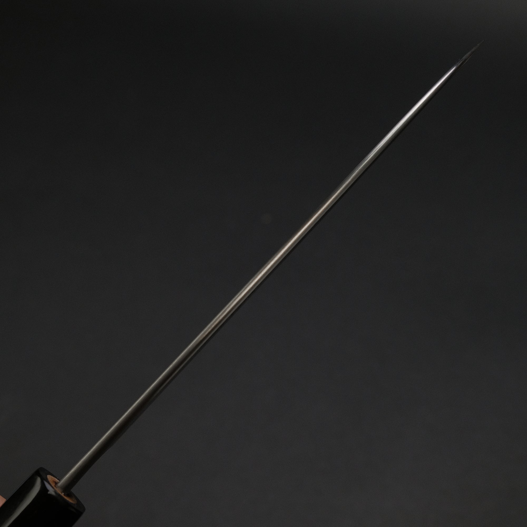 Toshihiro Wakui White 