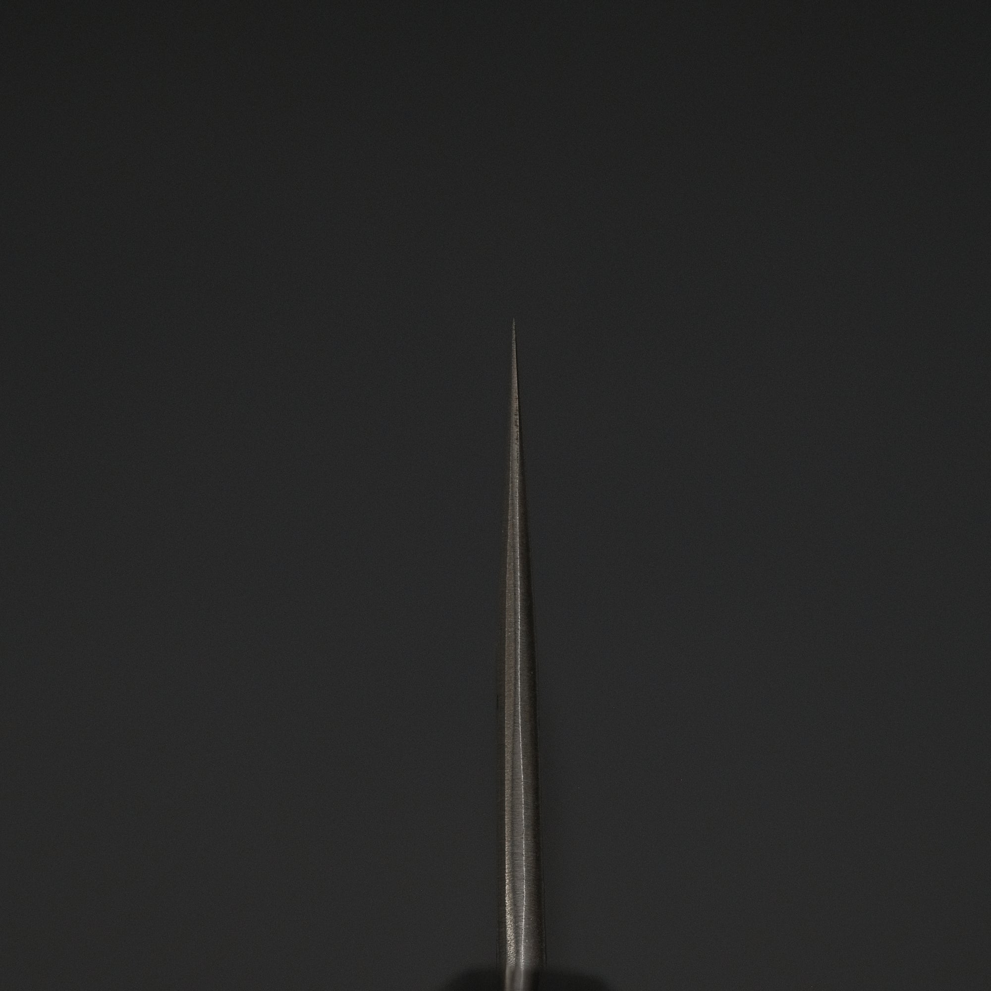 Toshihiro Wakui White 