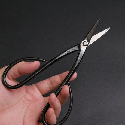 Masakuni Bonsai Tools
