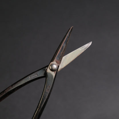 Masakuni Bonsai Tools