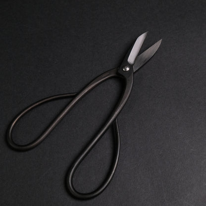Masakuni Bonsai Tools