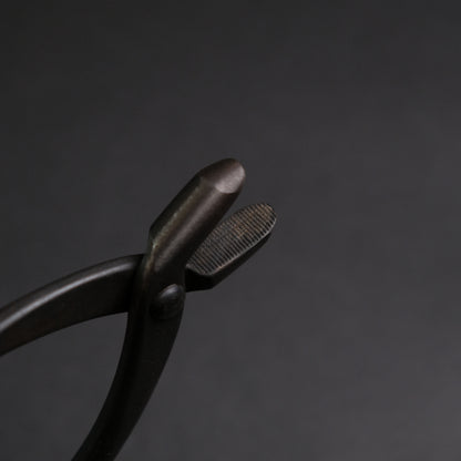 Masakuni Bonsai Tools