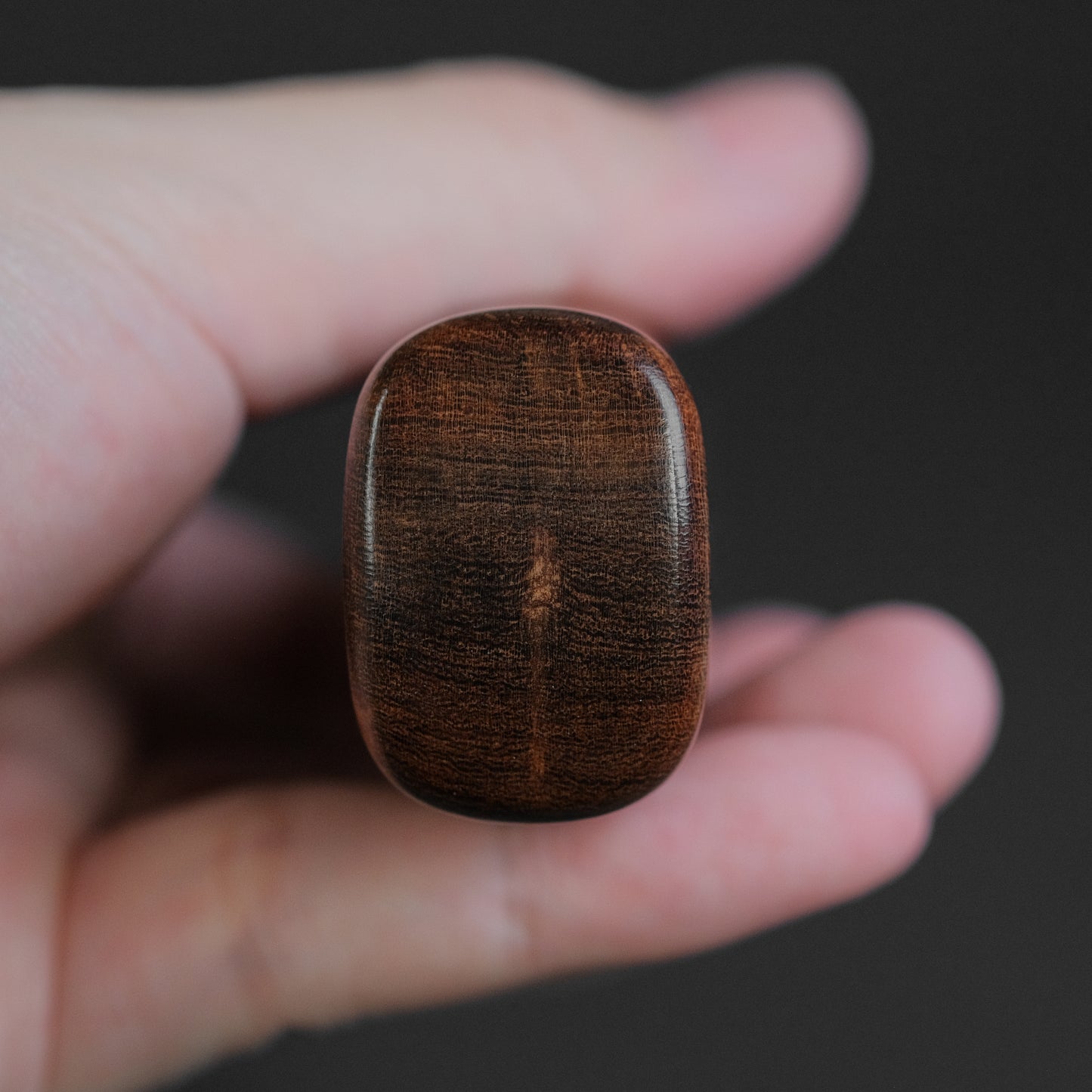 Xinguo Bolher N690 Carving Set 225mm Desert Ironwood Handle