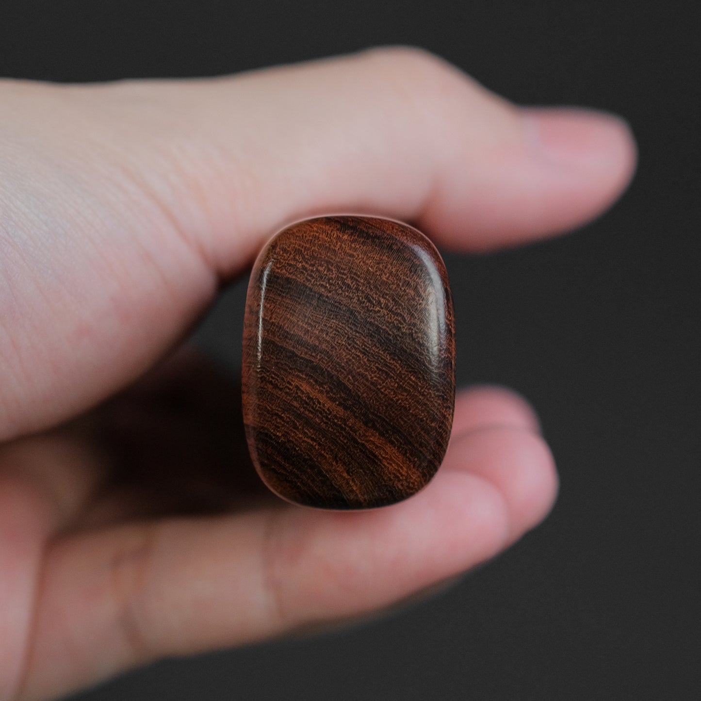 Xinguo Bolher N690 Carving Set 225mm Desert Ironwood Handle