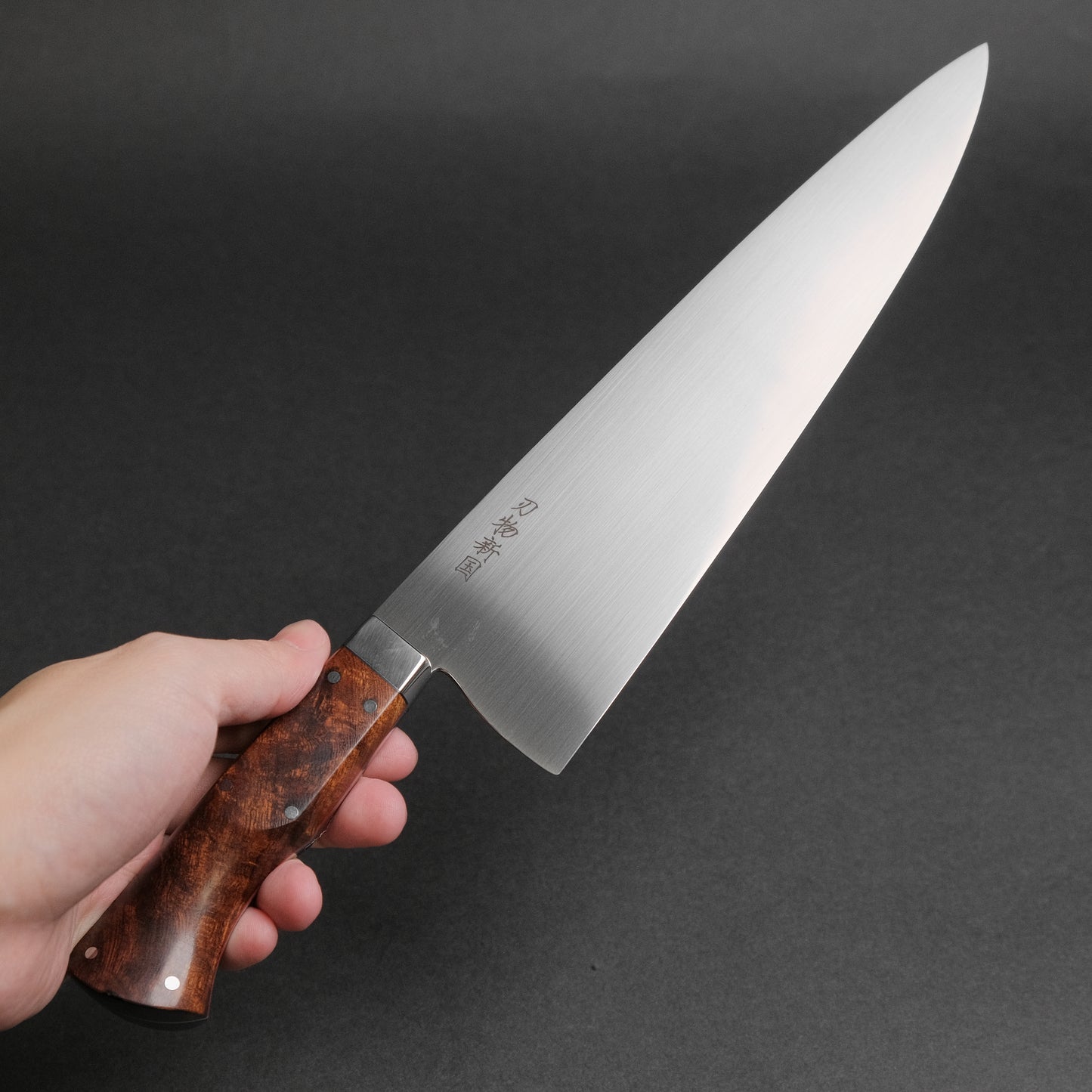 Xinguo M390 Gyuto 240mm Desert Ironwood Handle