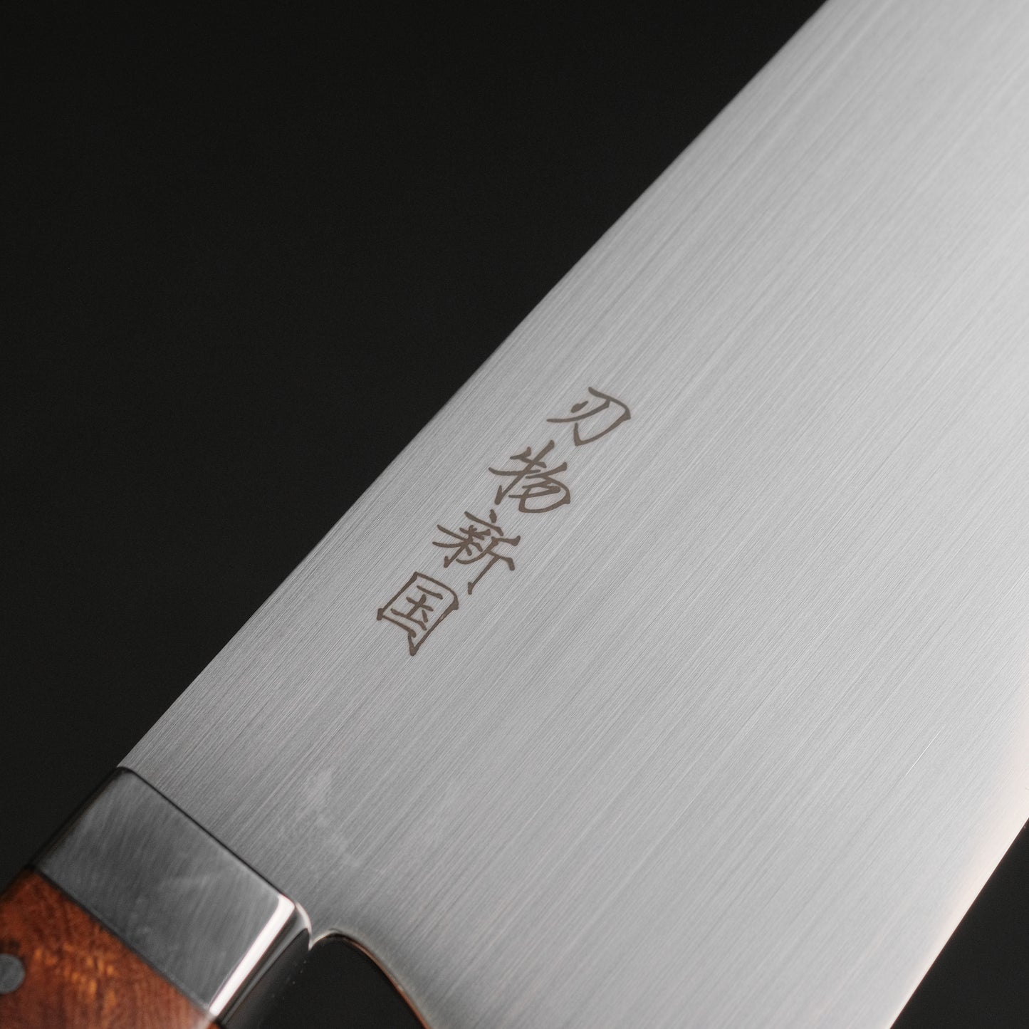 Xinguo M390 Gyuto 240mm Desert Ironwood Handle