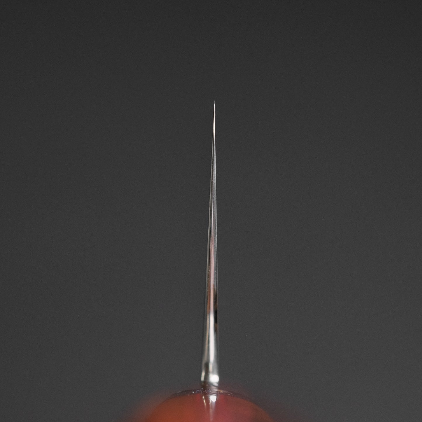 Xinguo M390 Gyuto 240mm Desert Ironwood Handle