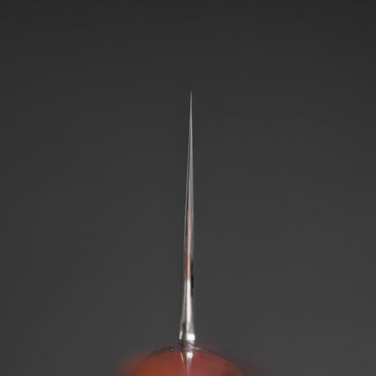 Xinguo M390 Gyuto 240mm Desert Ironwood Handle