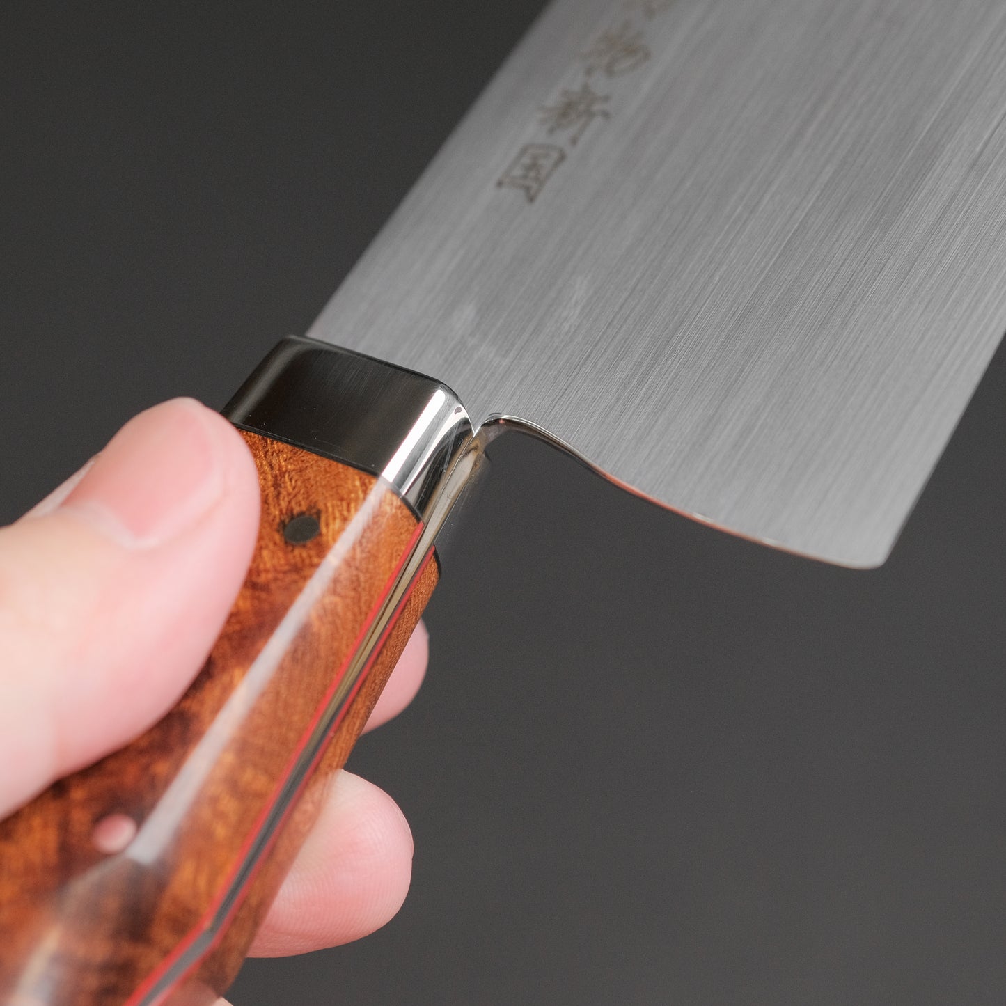 Xinguo M390 Gyuto 240mm Desert Ironwood Handle