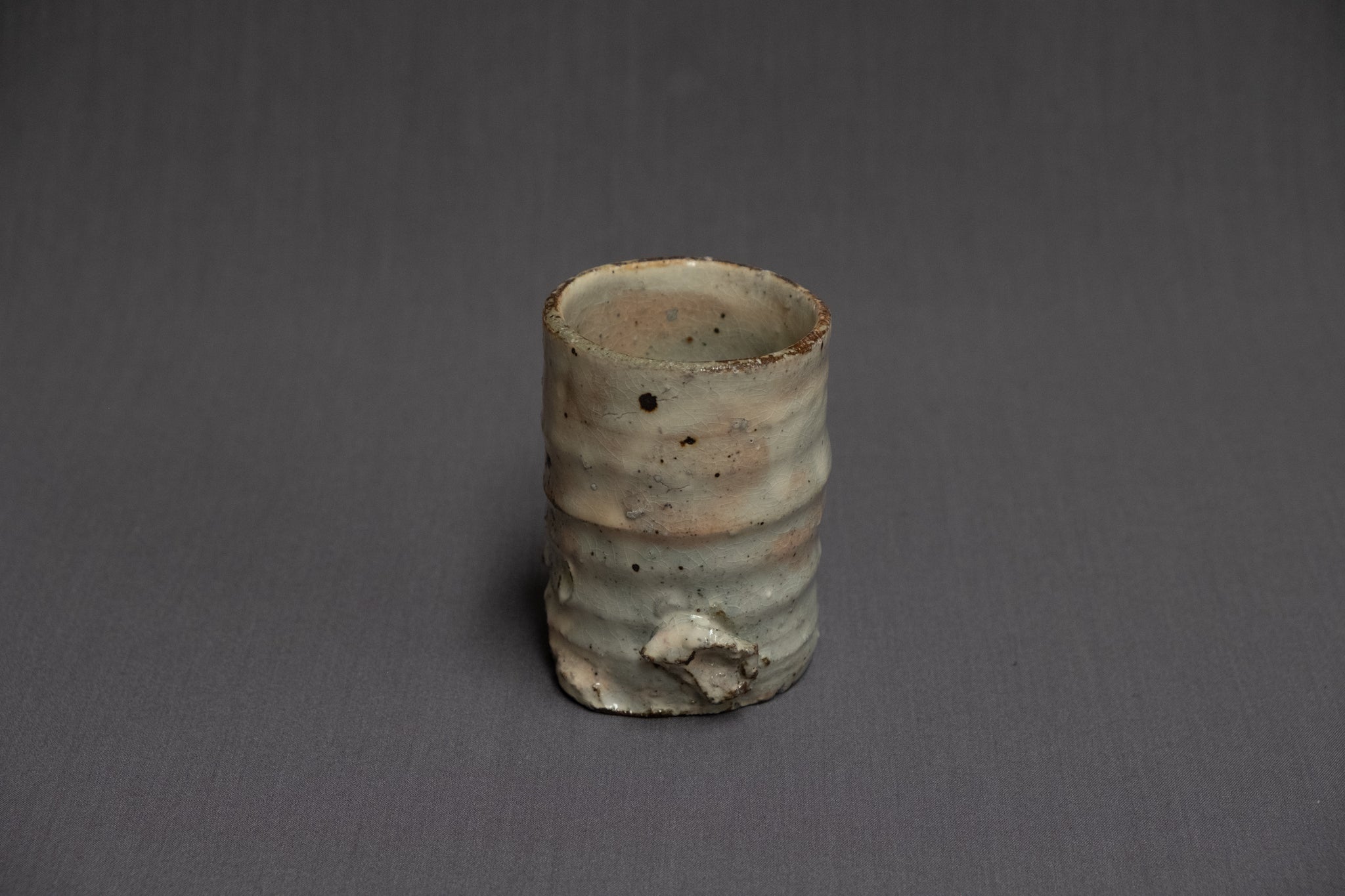 Komon Shinichi Kotsuji Haiyugesho (Ash Glaze) Tumbler Cup